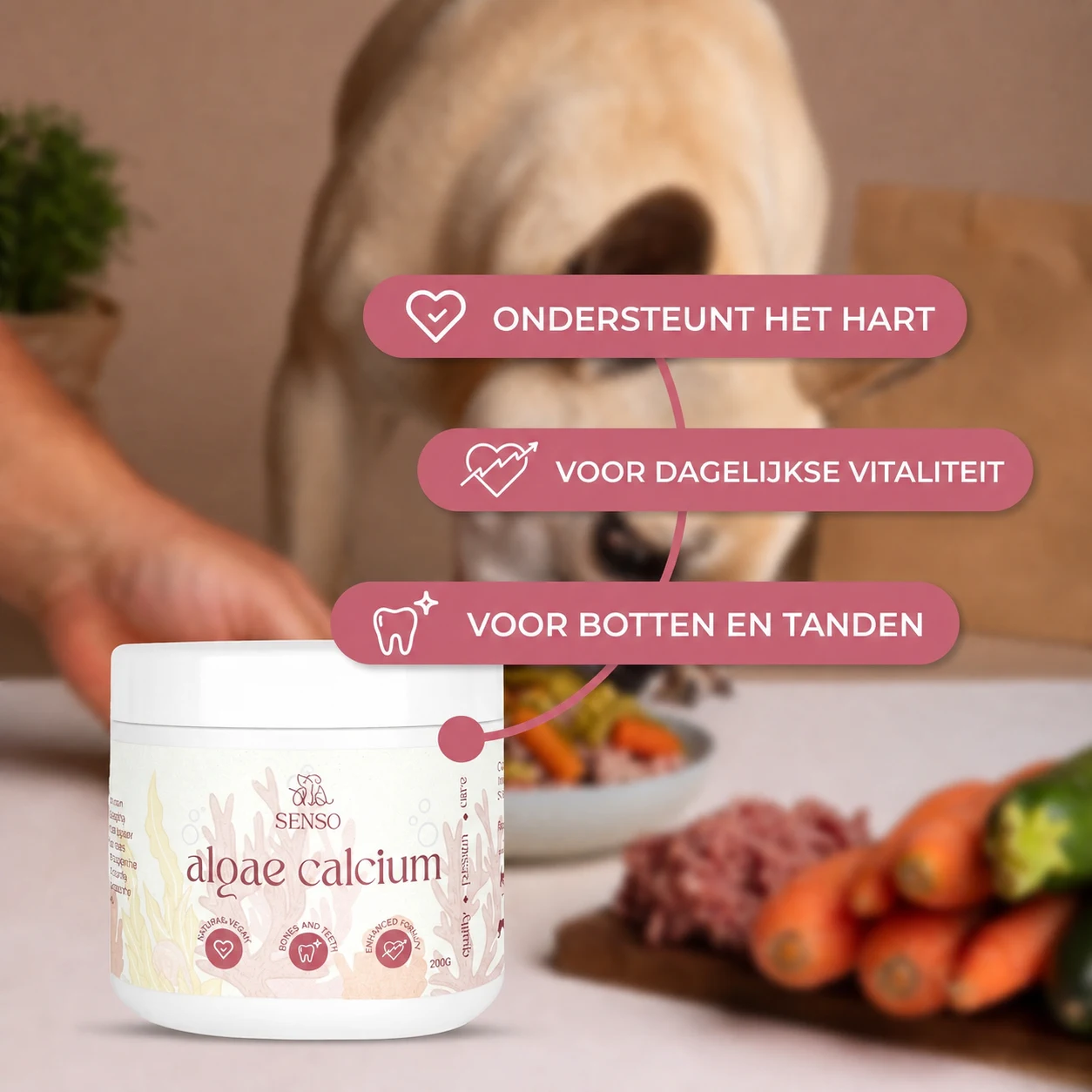 Calcium uit algen — afbeelding 3