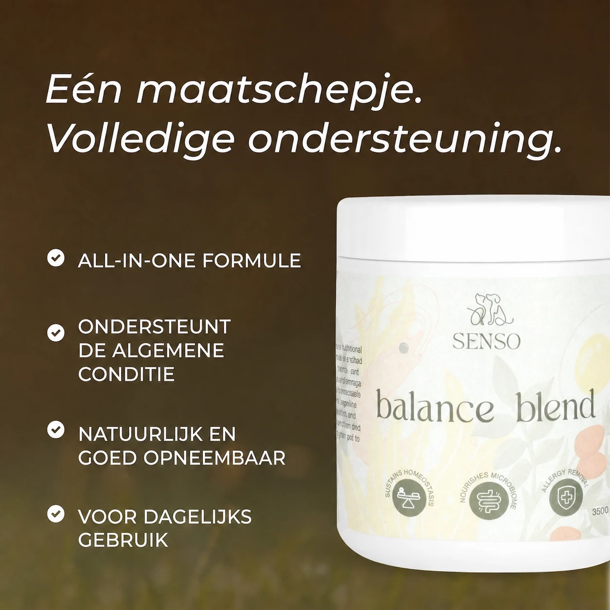 Balance Blend — afbeelding 4