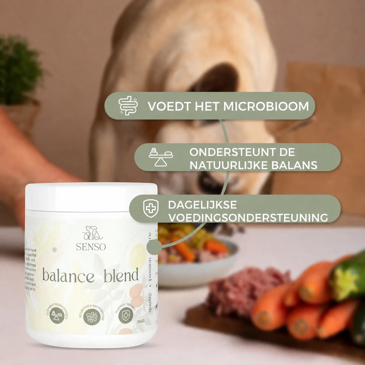 Balance Blend — afbeelding 3