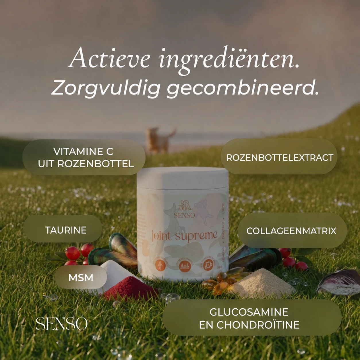 Ingrediënteninfographic van Joint Supreme