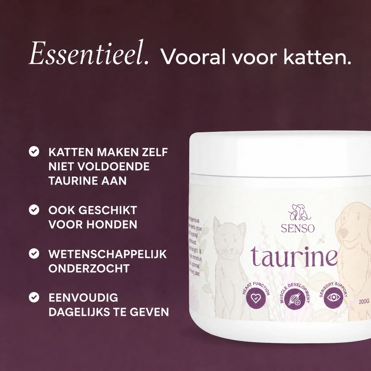 Taurine — afbeelding 4