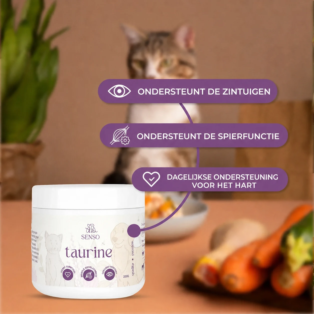 Taurine — afbeelding 3